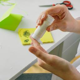 Glue Sticks