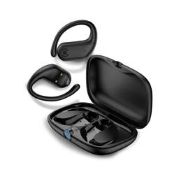 Earphones