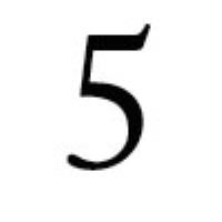 Section 5