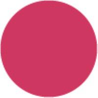 Begonia Pink Rv14