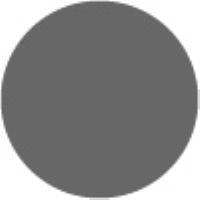 Neutral Grey IV 334