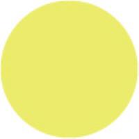 Lemon 020