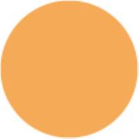 Neon Orange
