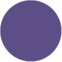  Plum 037