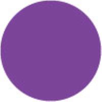 Velvet Purple