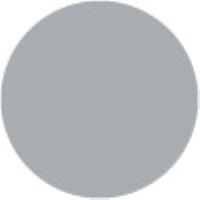 Ash Grey AG875