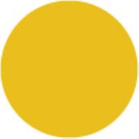 Cadmium Yellow Medium Hue