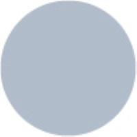 Cool Grey CG894