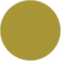 Olive Green Y41