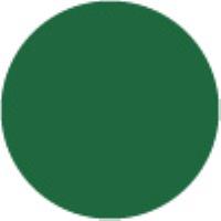 167 Permanent Green Olive