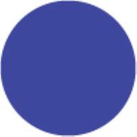 Royal Blue "23"