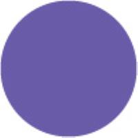 Violet Gray 