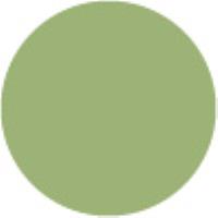 Willow Green G237*