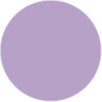 Wisteria 62
