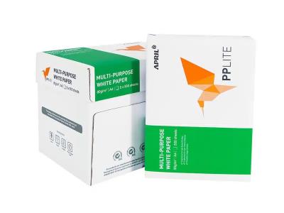 PAP1624