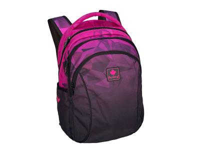 STA3270