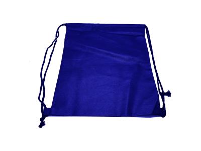 BAG0295